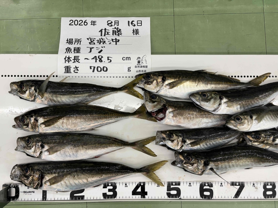 アジ